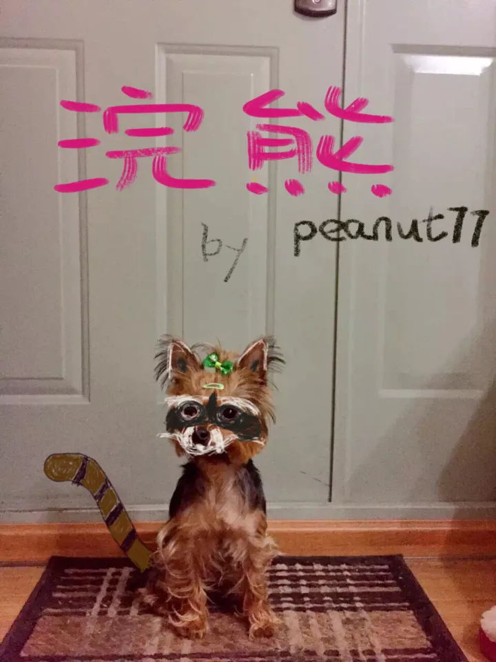 50FB7663-D088-4666-9E4D-3CC7AA043F7B.png