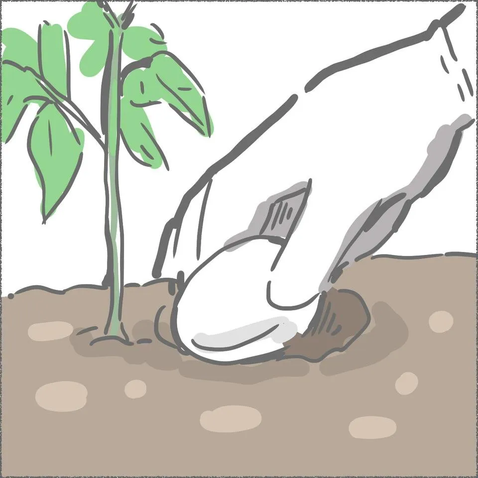 blog09_17.jpg
