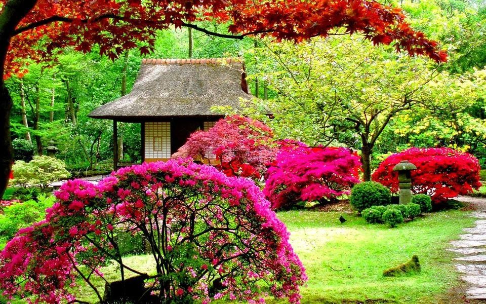 beautiful flower garden.jpg