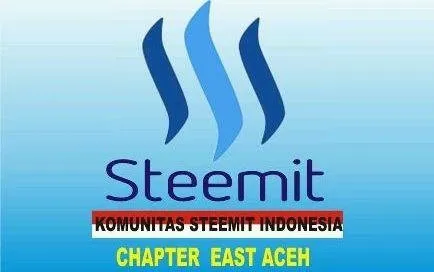 Chapter East Aceh.jpg