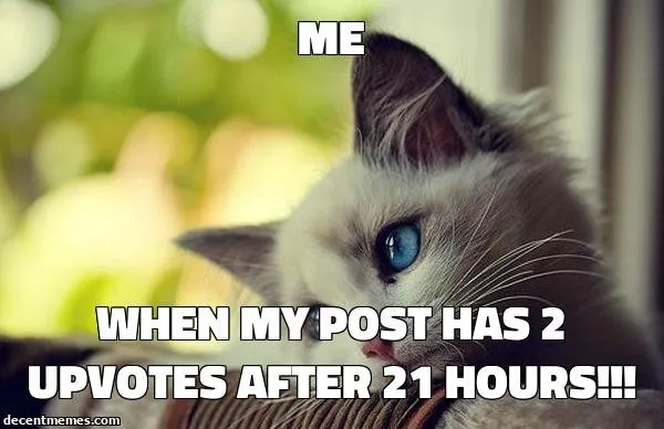when_my_post_has_2_upvotes_after_21_hours!!!.jpg