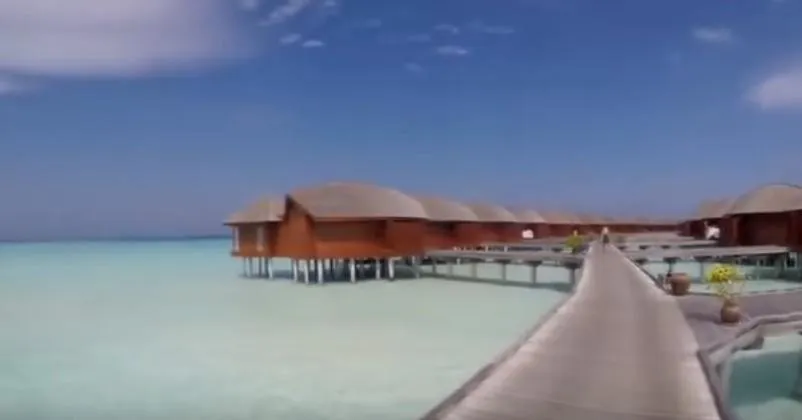 459.jpg