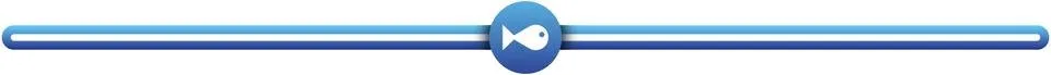 msp-lambo_divider-minnow.jpg