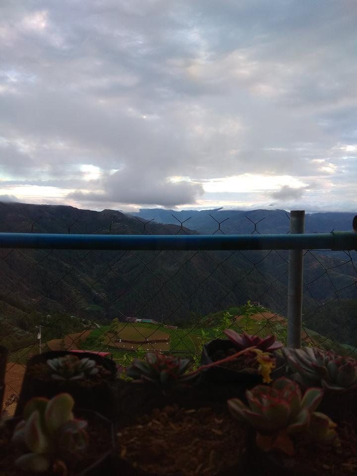 JPEG_20180331_060737.jpg