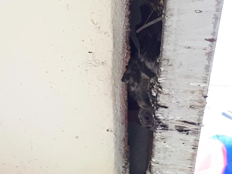 20180417_150855.jpg