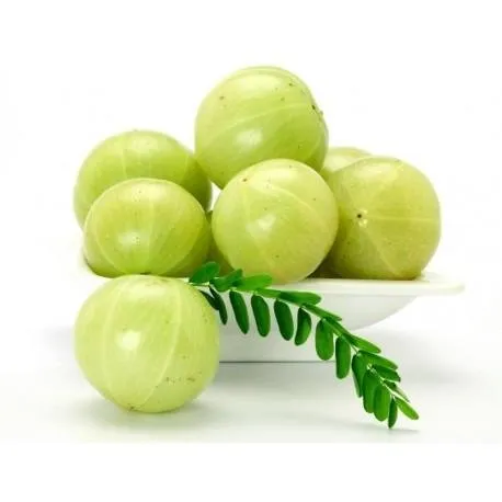 phyllanthus-emblica-indian-gooseberry-amla-seeds.jpg