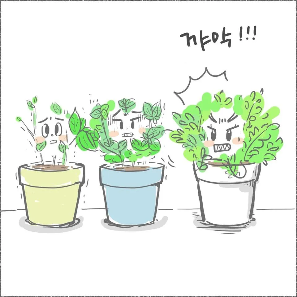 blog10_20.jpg
