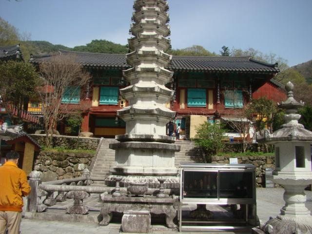 sony 229.JPG