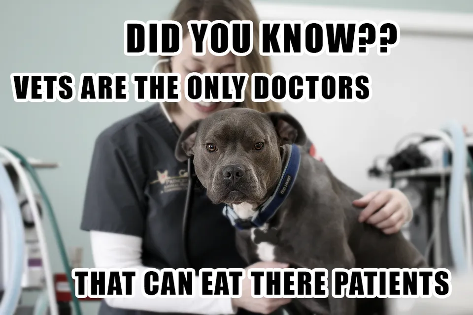 Vets Eat Patients.png