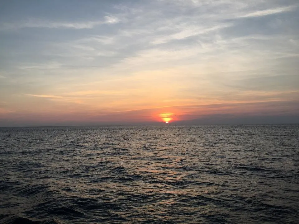 1C966889-ADD5-40D7-938C-BAB06D826E0A.jpeg