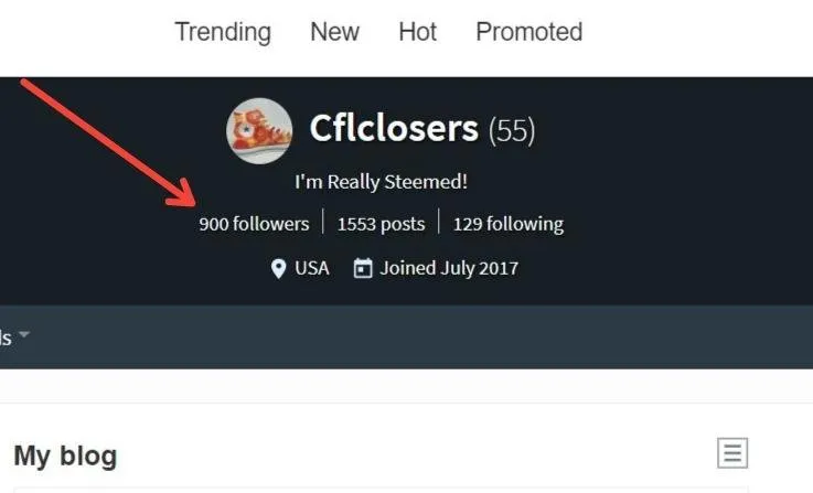 Screenshot of Cflclosers (@cflclosers) — Steemit.jpg