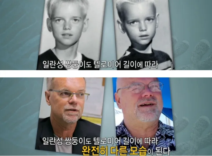 2.PNG