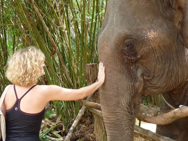The elephant in the room