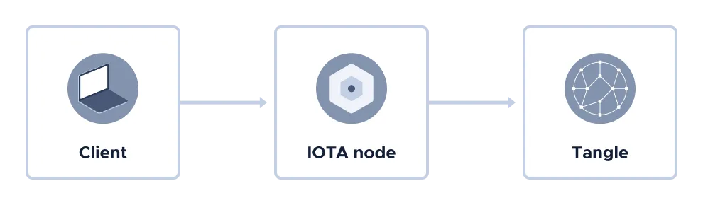 IOTA arch