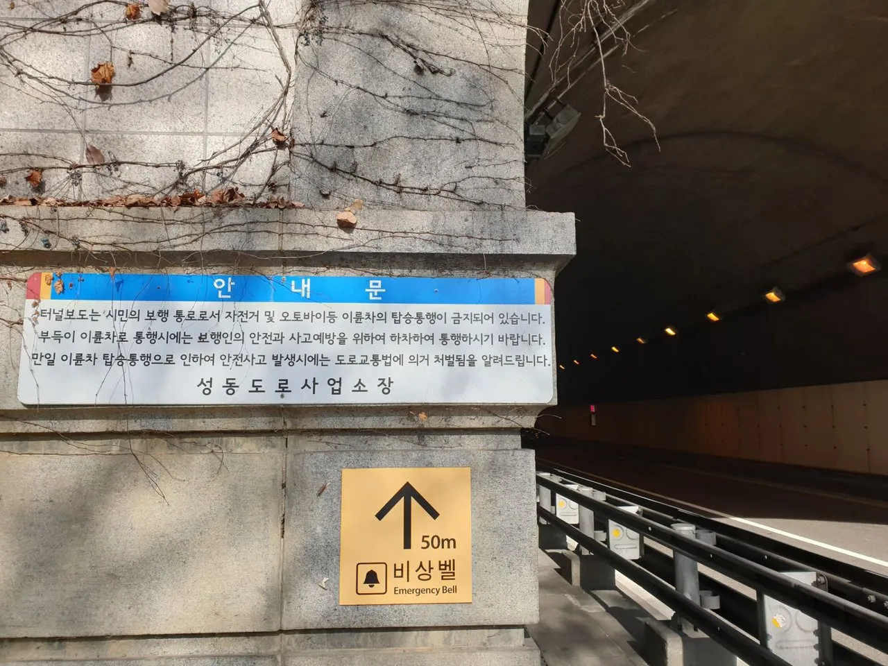 20190209_104312.jpg