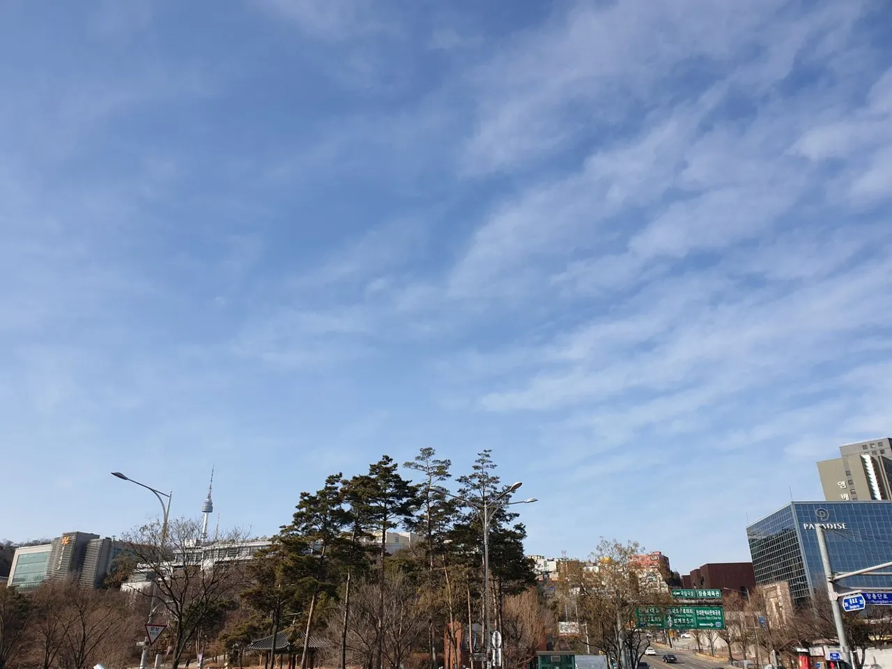 20190209_110017.jpg
