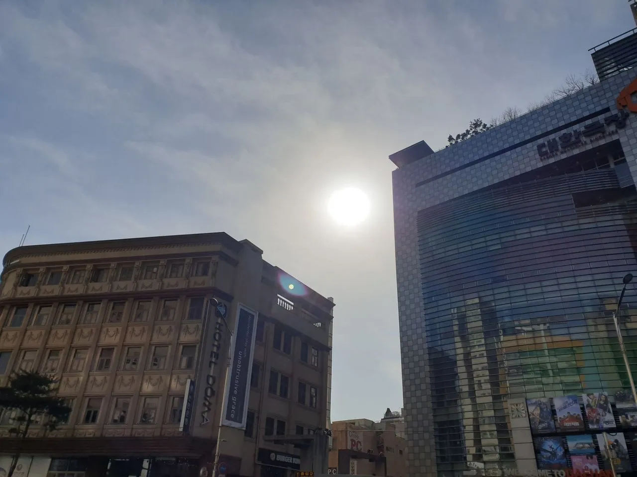 20190209_112232.jpg