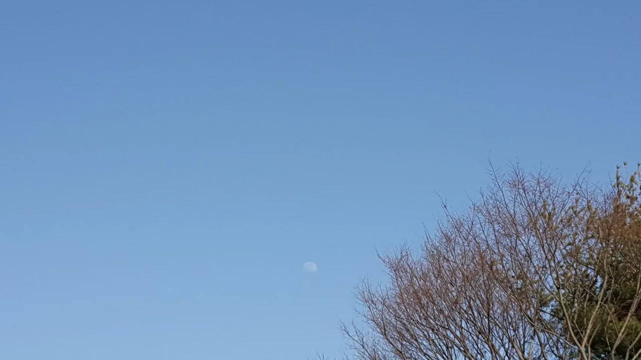 20190317_155256.jpg