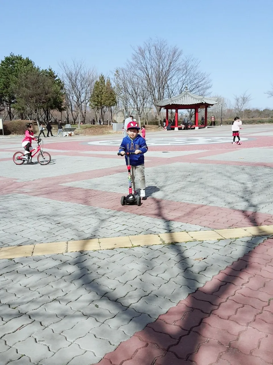 B612_20190317_145340_253.jpg