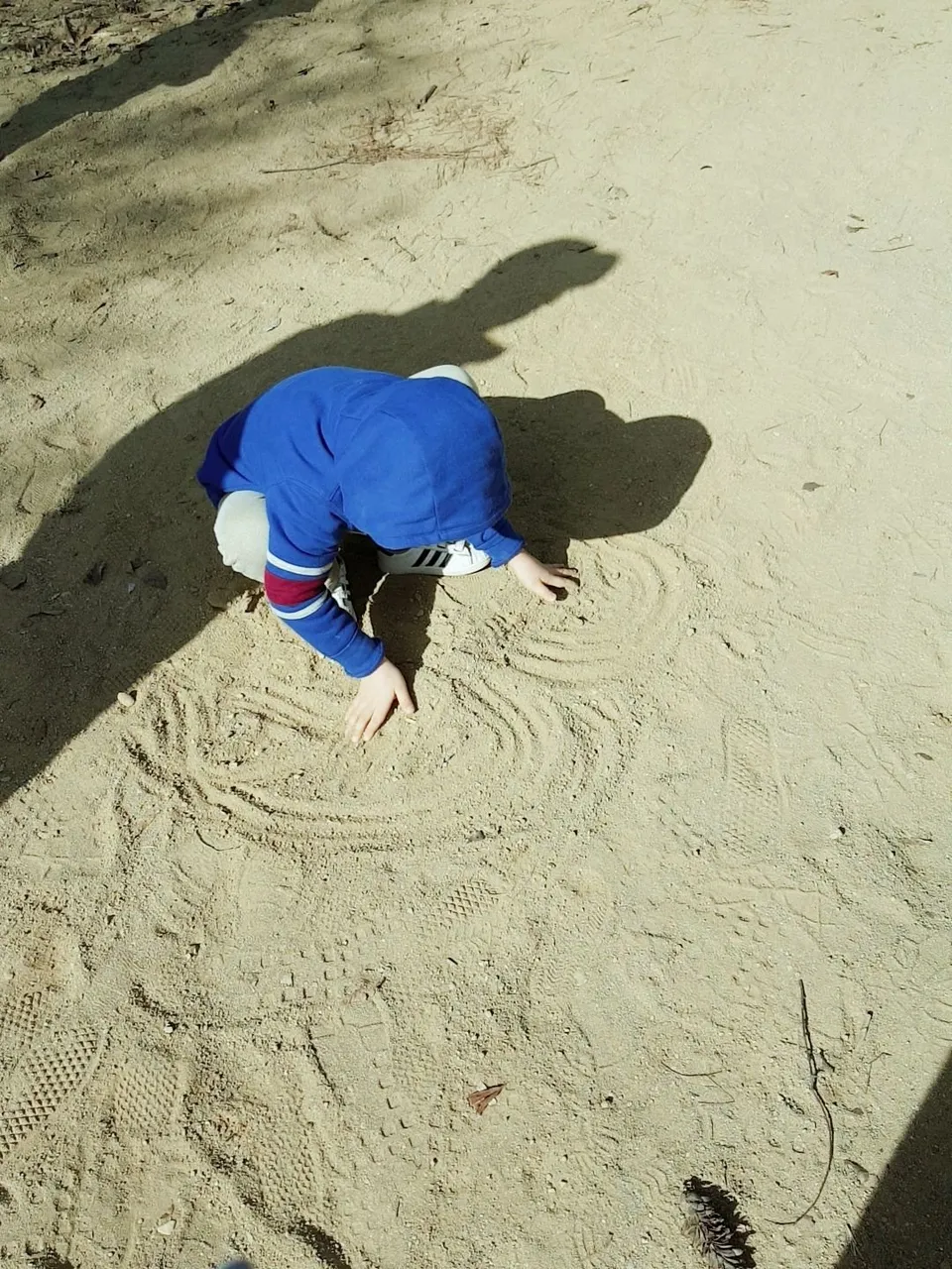B612_20190317_153827_846.jpg