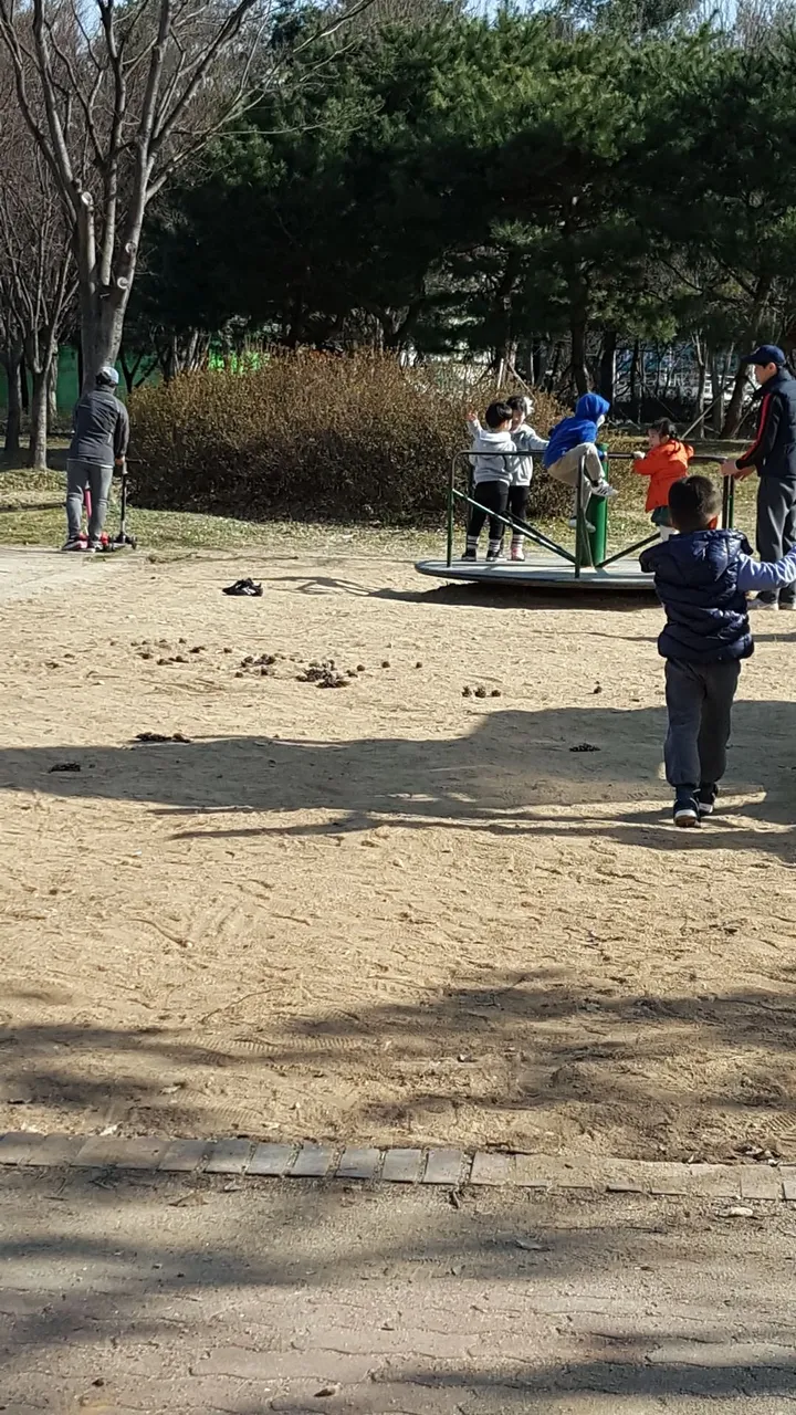 20190317_154812.jpg