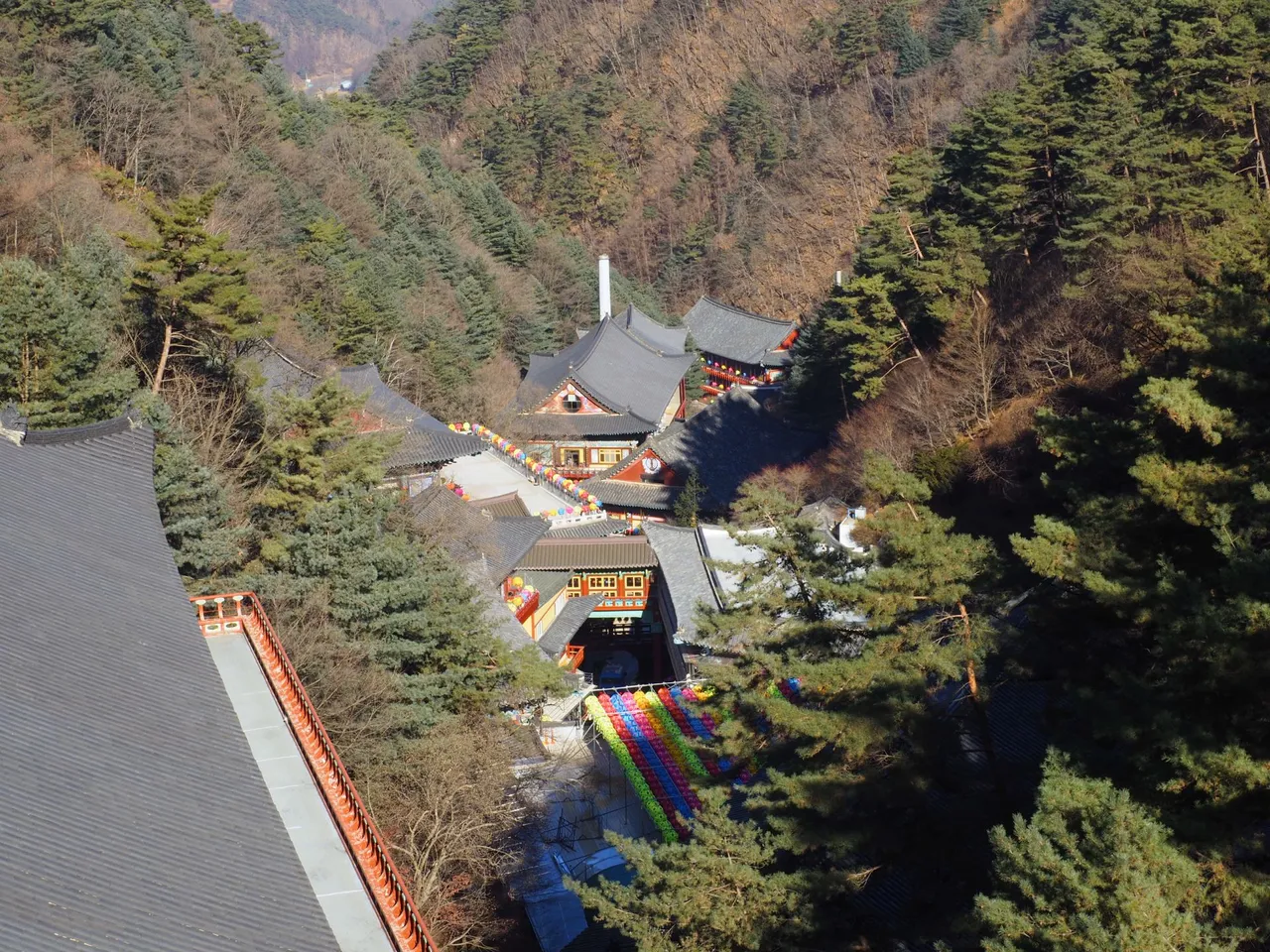_C291035.JPG