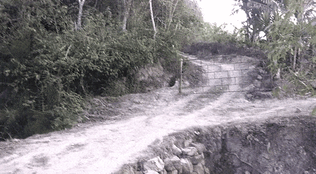 https://thumbs.gfycat.com/ObviousUnrulyAmericanratsnake-size_restricted.gif