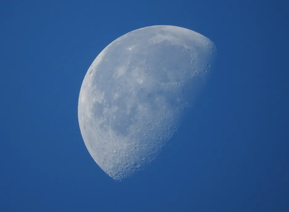 12 Last Quarter Moons