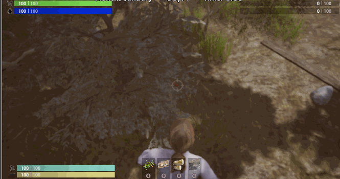 Images captured from actual game - IBT Survival Island