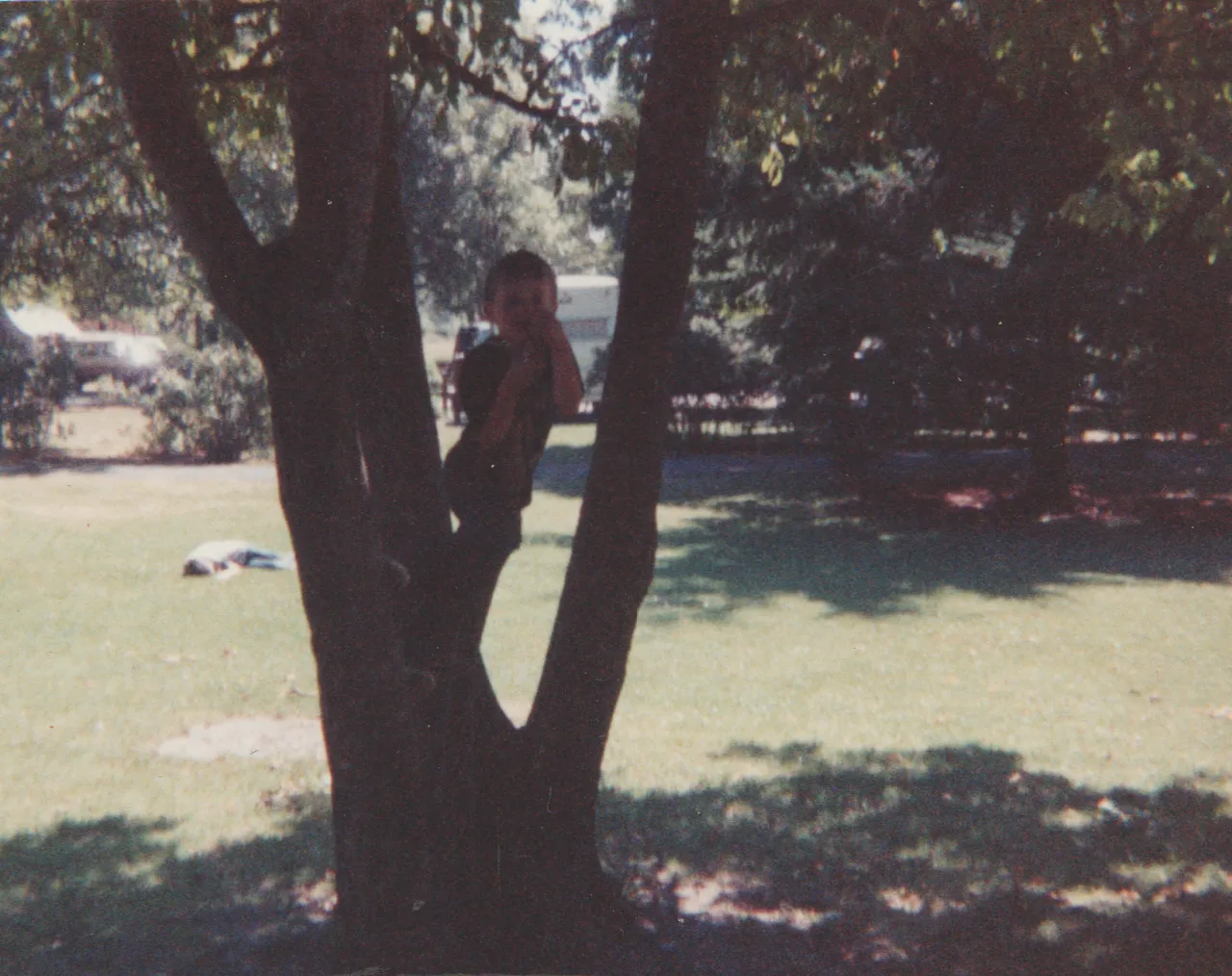 1991-08 - Camping - Joey, Rick, Crystal, Katie, mom, dad, others, tent, picnic table, field, food, playing, includes maybe Sunday or weekend-4.png