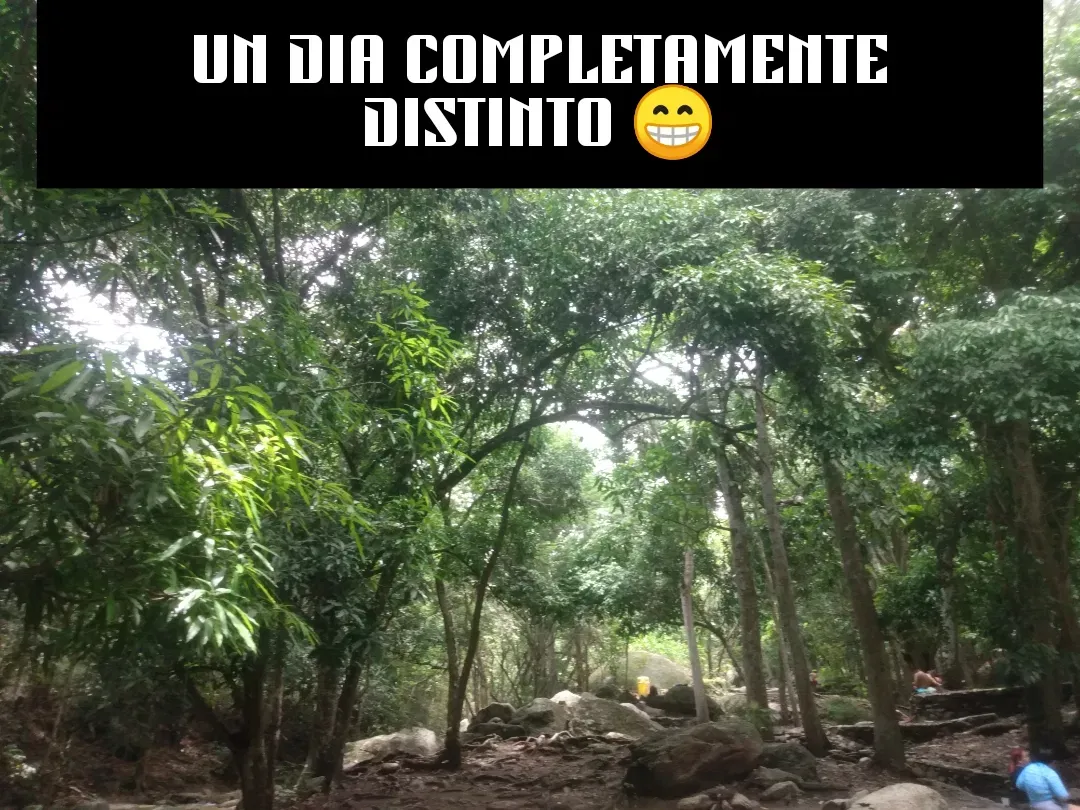 o2yUbLaBu7d0jxDj_IMG_20250504_234139.jpg