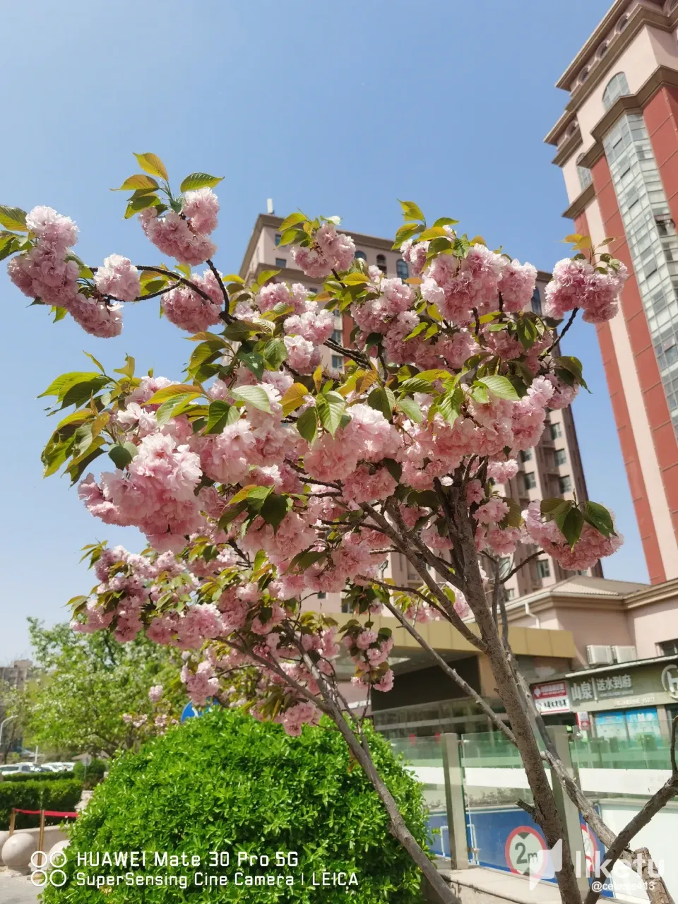 AzWdH258y5lLqQFw_521744642045_.pic_hd.webp