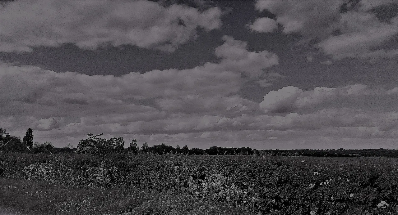 landscape photography with clouds b&w.jpg