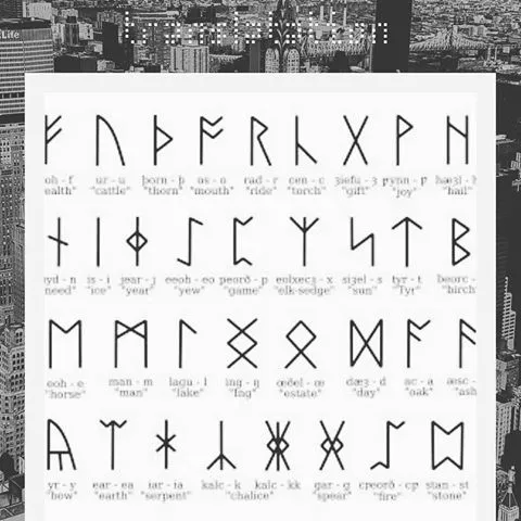 67154549_159937678394874_305817909936959133_n.jpg