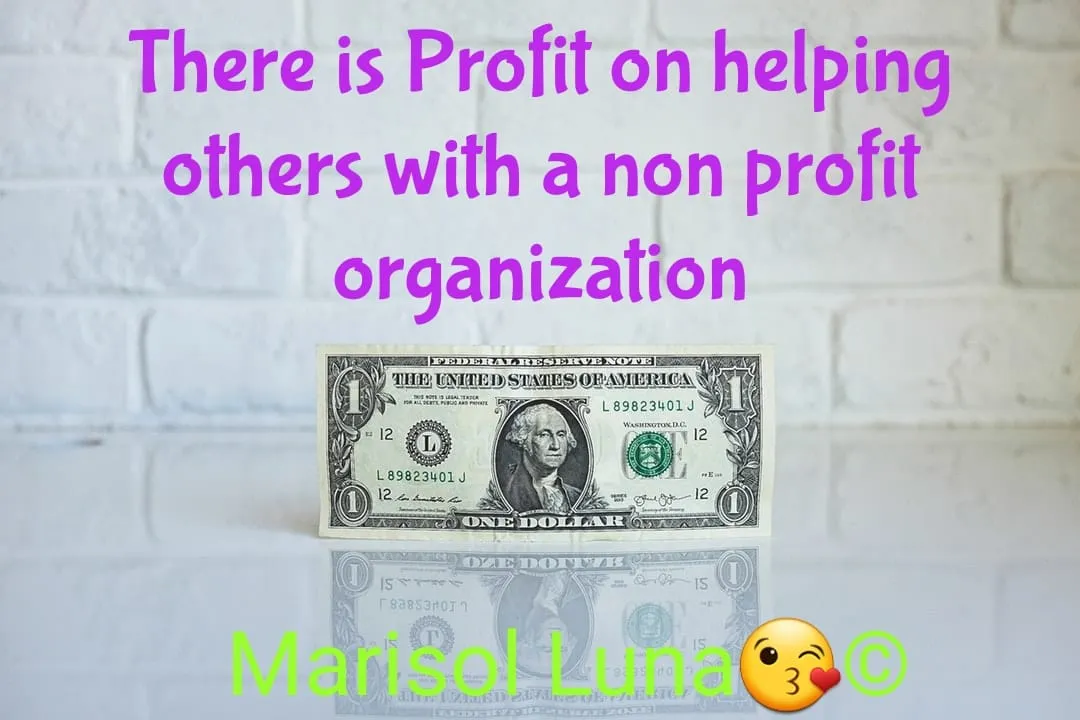 there is profit in the non profit.jpg