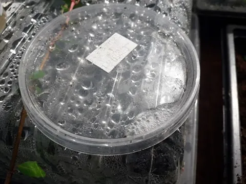 68785895_633837213692261_776695868559458304_n.jpg
