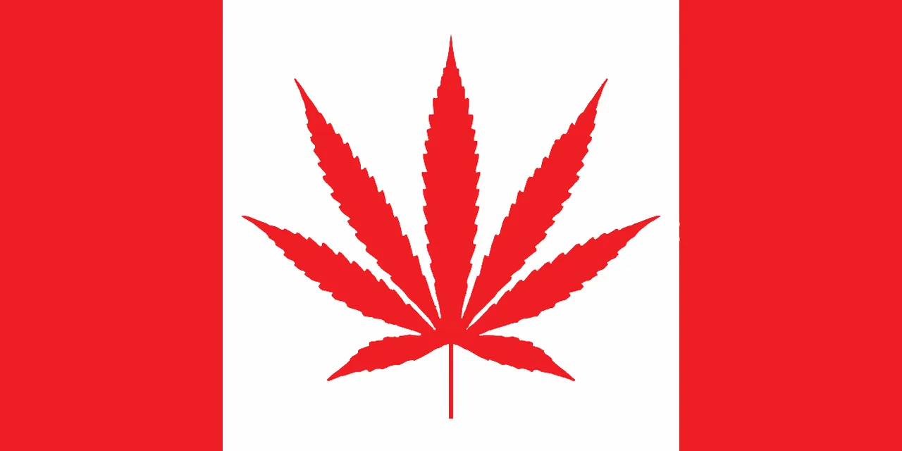 Dank Master Canadian weed leaf flag.jpg