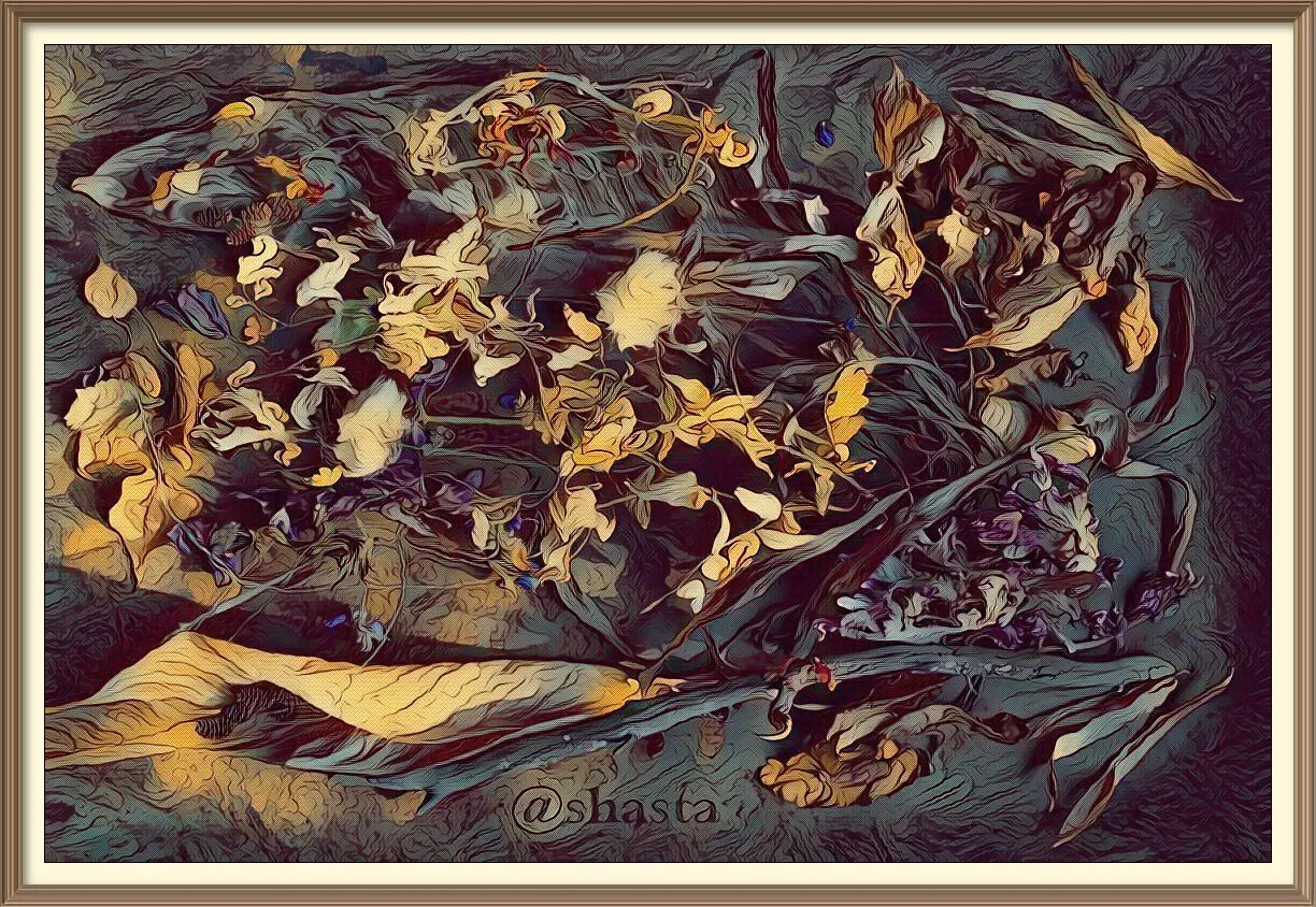 shasta2018aug17th47driedleavesdarkrerframe2io.jpg