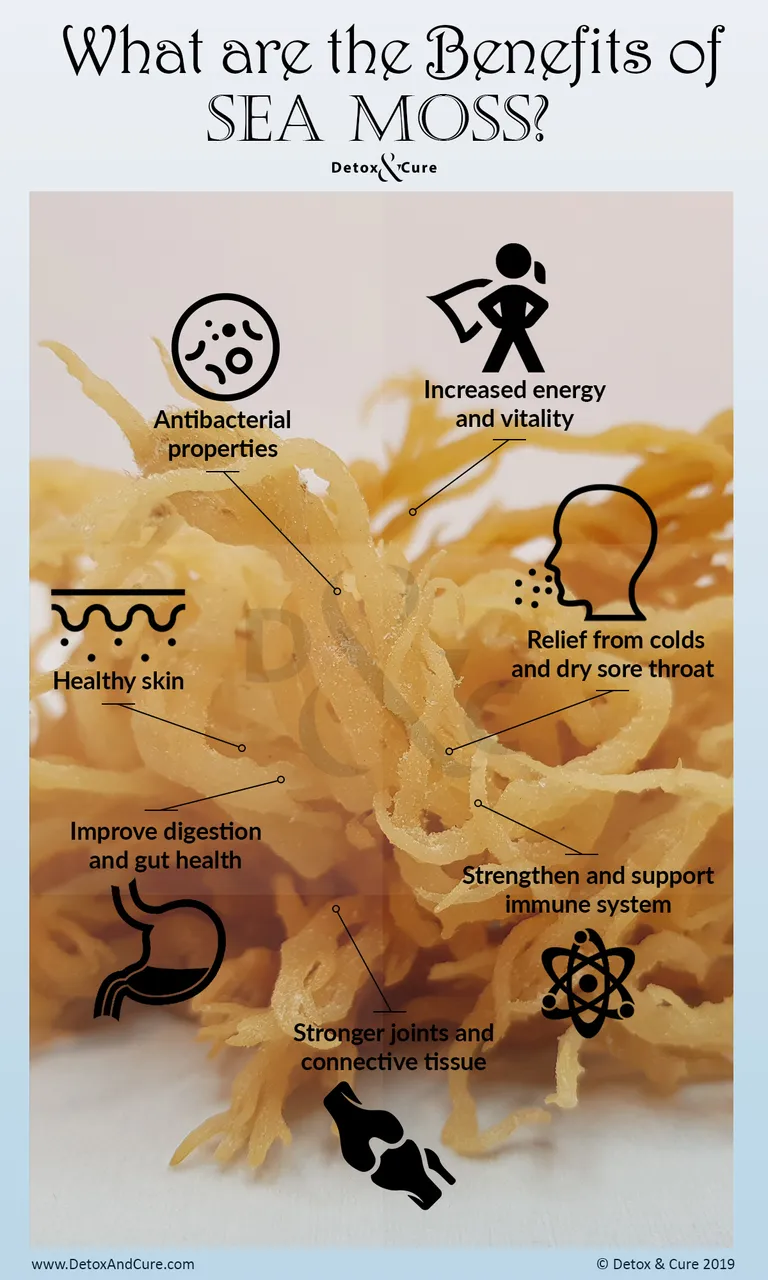 What are the benefits of sea moss.jpg