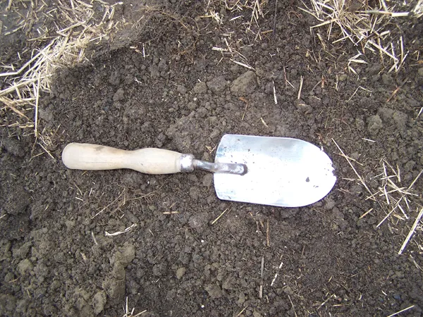 Soil Test - trowel crop Nov. 2018.jpg