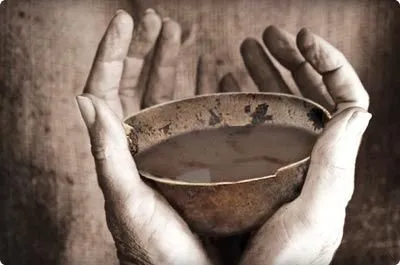 Ayahuasca Cup - www.santodaimecolombia.org