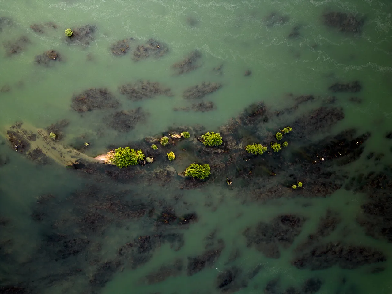 DJI_0755.jpg
