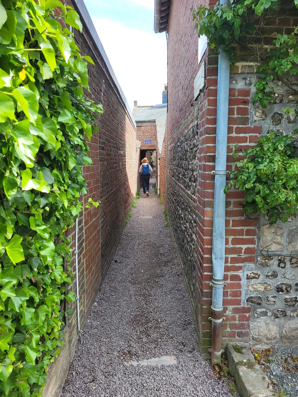 image.jpeg