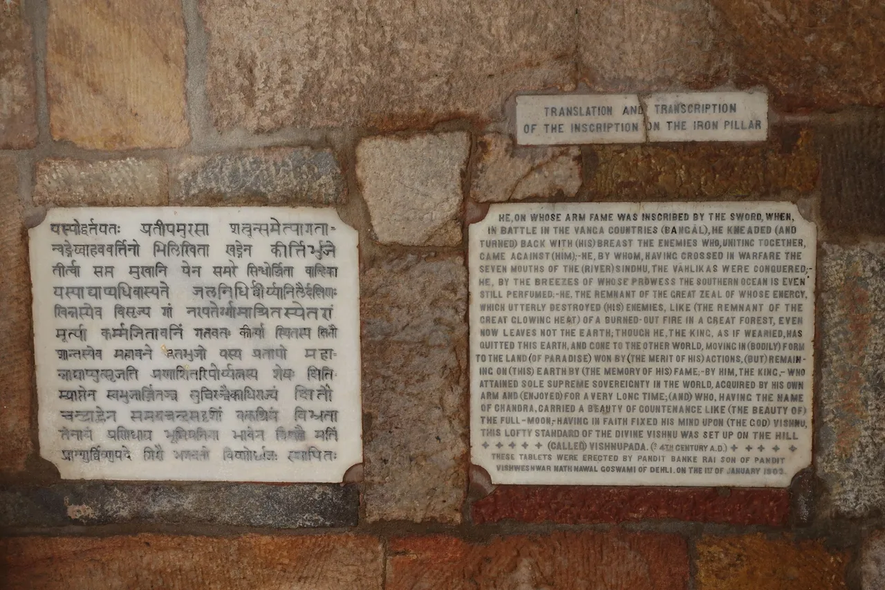 DSC02083.JPG