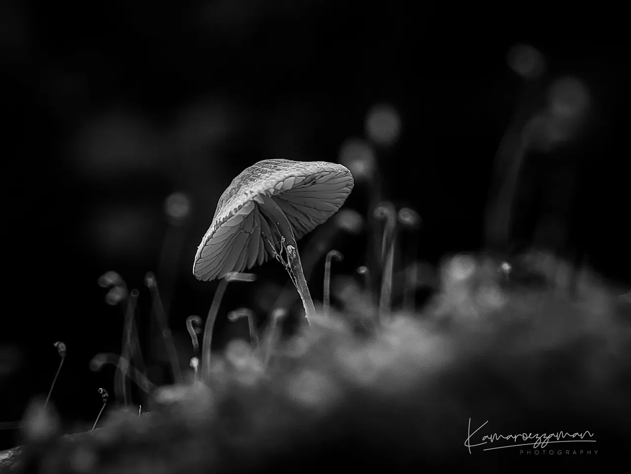 IMG_20221016_124518 (1).jpg