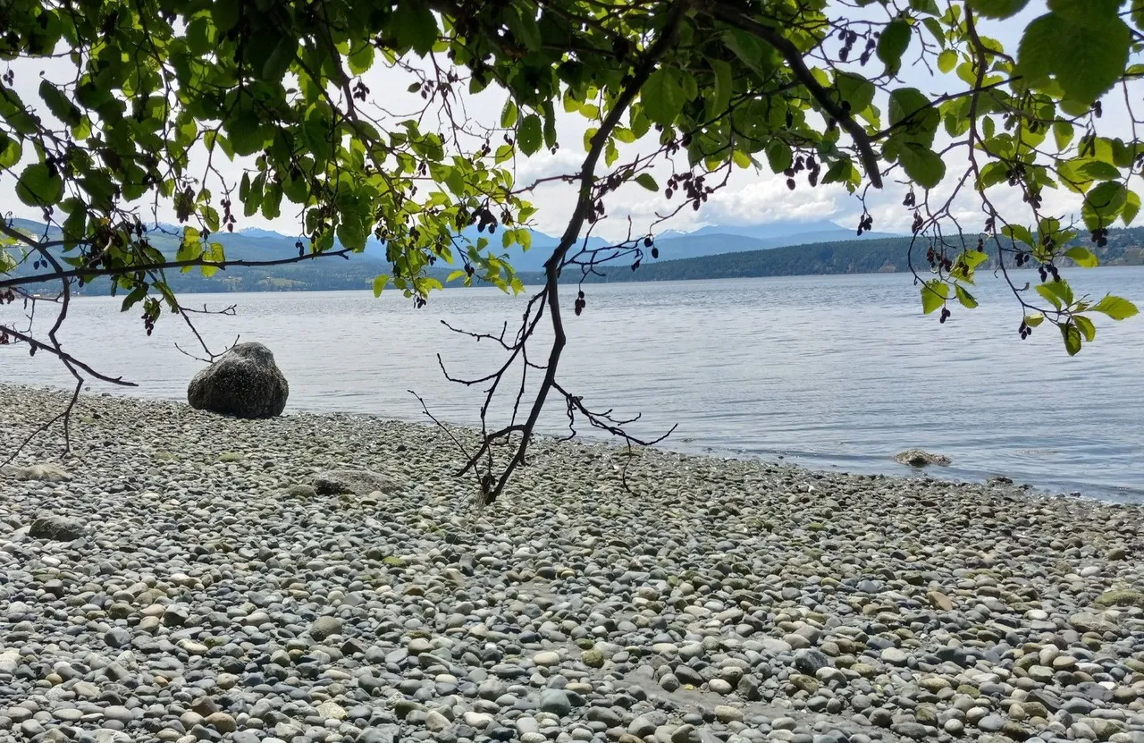 AS023-Beach.jpg