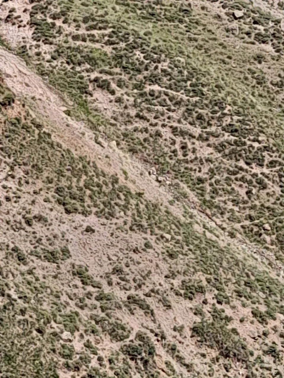 1000063394.jpg
