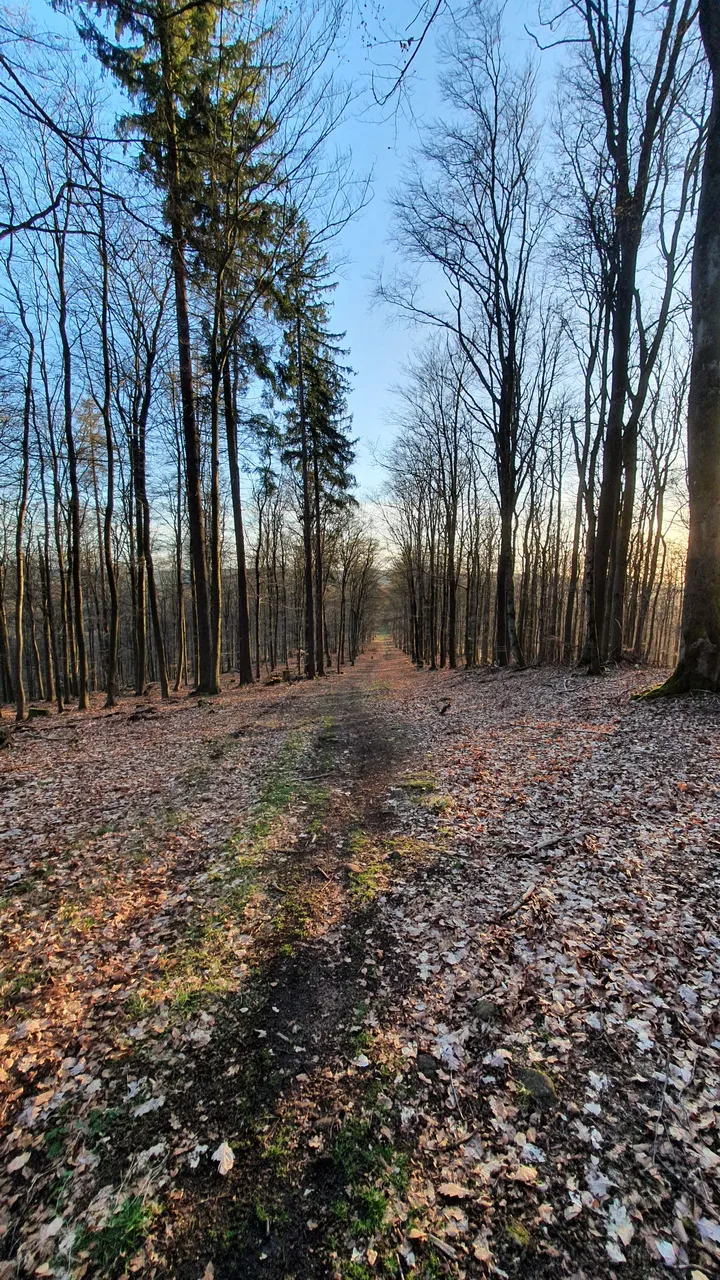 20240402_191526.jpg