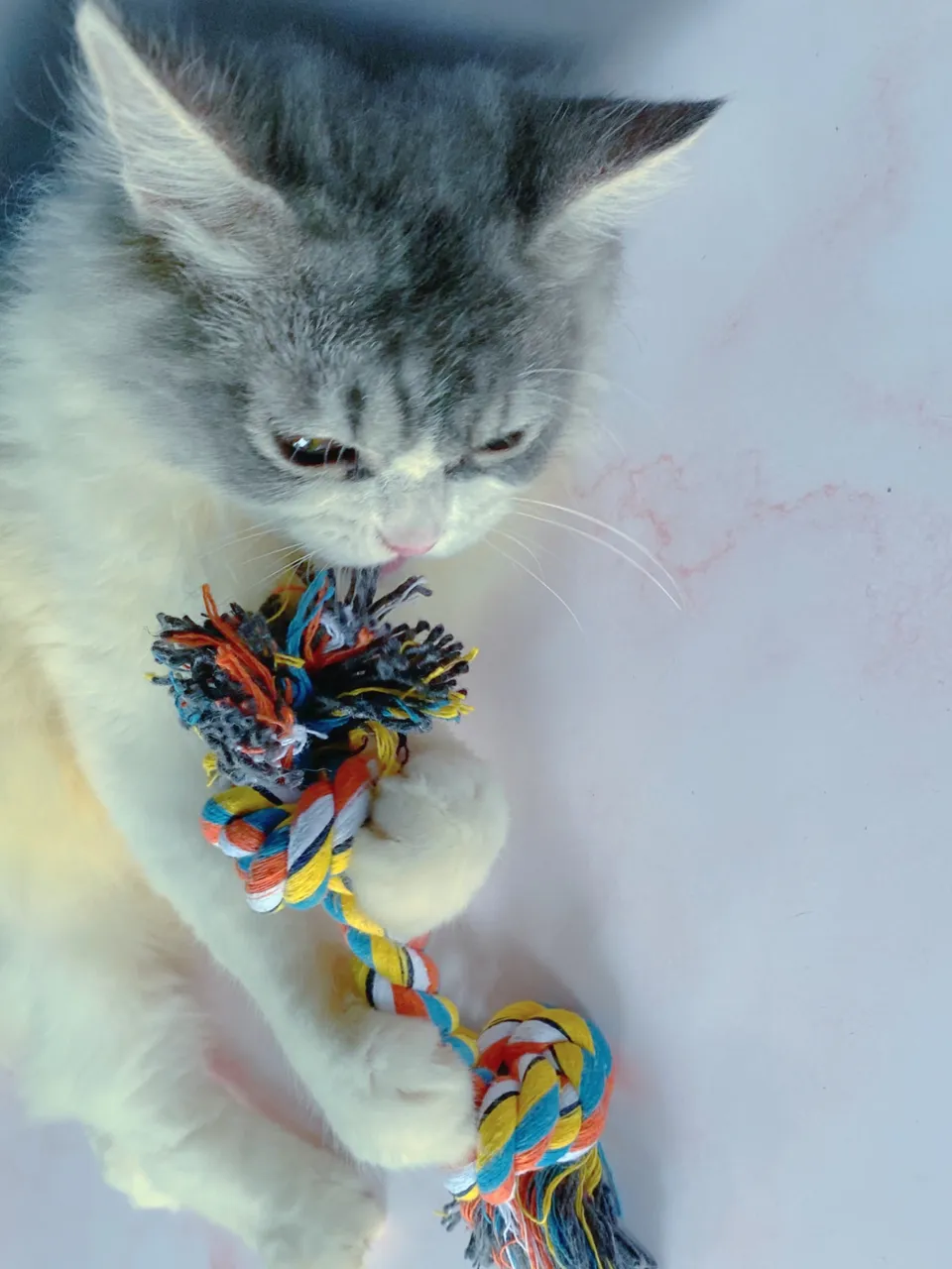 F42DE2B9-B678-4A42-AB1B-A4D43B92F331.jpeg