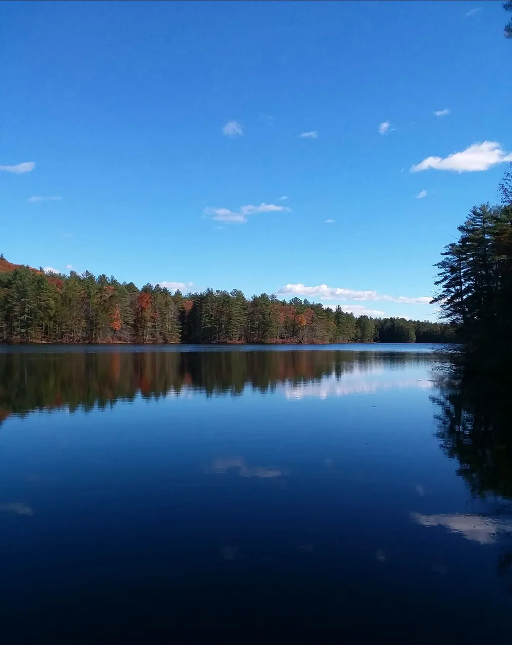 20211108_072731.jpg